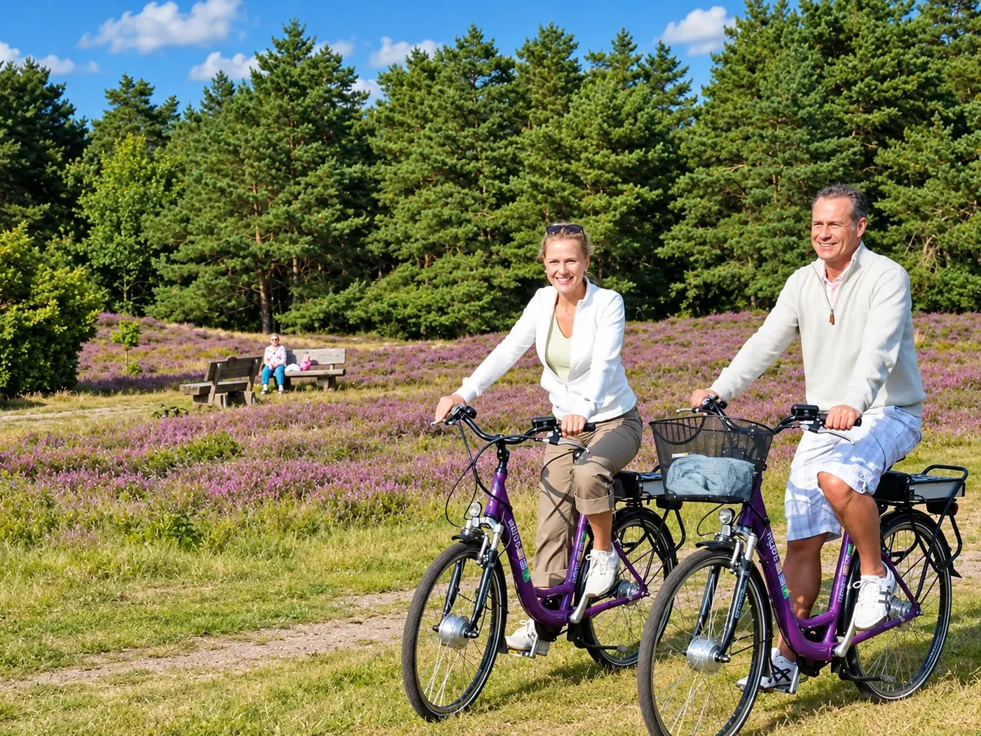 Lüneburger Heide rund um Bad Bevensen