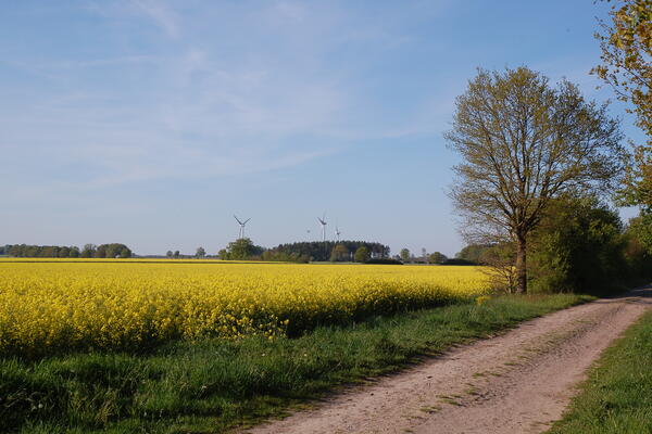 Frühling in Bad Bevensen