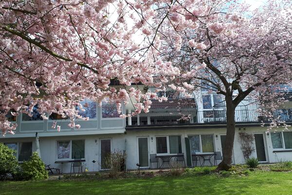 Frühling Parkhotel., bad Bevensen, Wellness, Lüneburger Heide