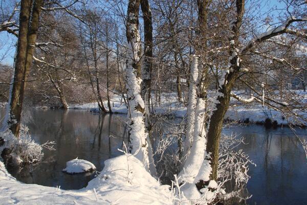  Winter in the Lüneburger Heide 